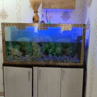 باسلام ۱عدداکواریوم به ابعاد۱۲۰طول عرض۳۰ارتفاع۶۰