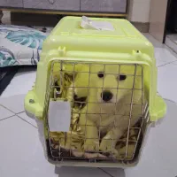 باکیس حمل سگ و گربه|لوازم جانبی حیوانات|تهران, مختاری|دیوار