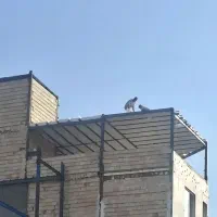 جوشکاری واجرای سقف خلاف در کمترین بازه زمانی|خدمات پیشه و مهارت|مشهد, شهید مطهری|دیوار