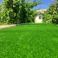 چمنمصنوعی /( ارزان و کیفیت درجه یک//|مصالح و تجهیزات ساختمان|تبریز, |دیوار