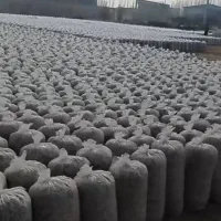 تفاله ی چغندر میاندوآب پر ملاس و شیرین