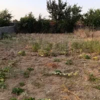 زمین مسکونی سندمادر داره