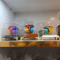 گل رز جاودان|گل و گیاه طبیعی|قم, باجک یک|دیوار