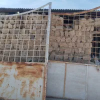 در باغ شهری یا گاراژ