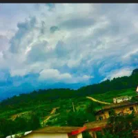 108 متری شهرک نواب صفوی|فروش آپارتمان|چالوس, |دیوار