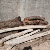 خریدار چوب آلات باغی