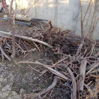 مقداری چوب و هیزم جهت فروش