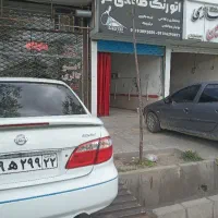 نقاشی و لیسه گیری