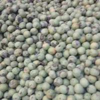 گردو درجه یک|خوردنی و آشامیدنی|تهران, فرحزاد|دیوار