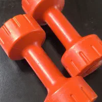 دمبل ۱/5 کیلویی|تجهیزات ورزشی|بیرجند, |دیوار