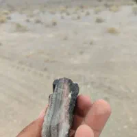 سنگ|کلکسیون اشیاء عتیقه|حاجی آباد, |دیوار