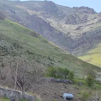 زمین مسکونی