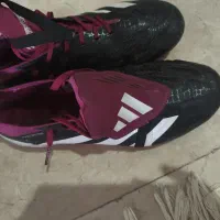 کفش فوتبال پردیتور 30