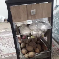 جا سیب زمینی پیاز ام دی اف