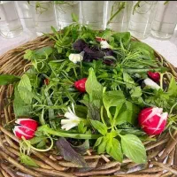 پاک کردن سبزی