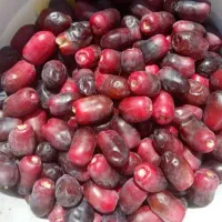 ۶۰ عدد درخت بری  ۱۰ دقیقه آب موتور بالای باغ بالا