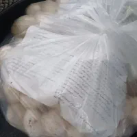 کارگر معمولی فقط اقا