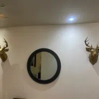دکوراتیو سر گوزن چند بعدی
