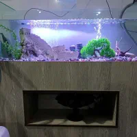 آکواریم 120 با میز