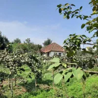 ۲۷۰ متر زمین تفکیک قابل ساخت محله پلاسی|فروش زمین و ملک کلنگی|چوبر, |دیوار