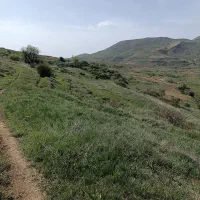دوکارگربرای آبیاری چغندر