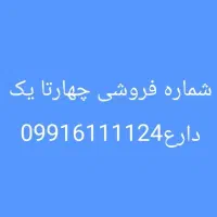 سیم کارت رند09916111124