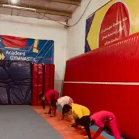 باشگاه اختصاصی ژیمناستیک وپارکور