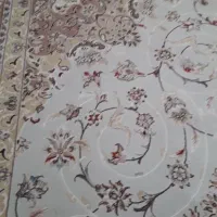 فرش 12متری|فرش|سمنان, |دیوار