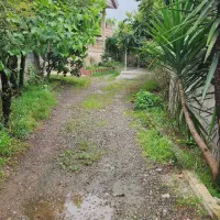 اجاره ویلا