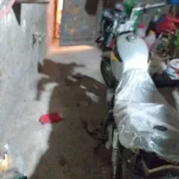 موتور پالس پلاک ملی|موتورسیکلت|مشهد, شهید جنگی|دیوار