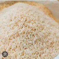 فروش برنج هاشمی سورت یک محصول تالش