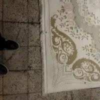 فرش 9متری|فرش|شیراز, اصلاحنژاد|دیوار