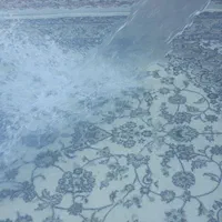 قالیشویی نیایش پونک باغ فیض جنت ابادشهران دریاچه..