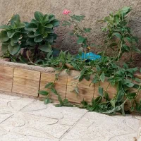 خدمات فنی ،حرفه ای لوله کشی و تعمیرات پمپ آب