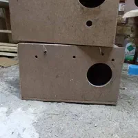 لونه عروس هلندی و طوطی برزیلی