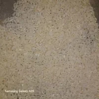 نیم دانه سورتینک هاشمی بدون نیاز تمیز کردن