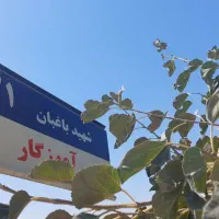 250-متر-حاشیه-10-متر-معبر-12-متری
