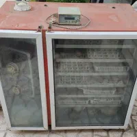 دستگاه جوجه کشی|لوازم جانبی حیوانات|ملایر, |دیوار