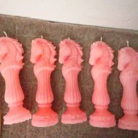 اسب لاریس زیبا