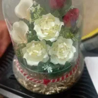 تزئینی|صنایع دستی و سایر لوازم تزئینی|قم, شهر قائم|دیوار