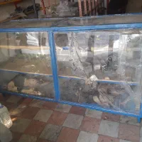 فروش ویترین پیشخوان