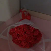 گل رز ربانی