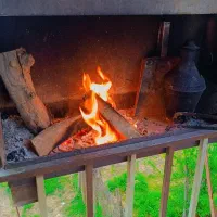 ویلای-جنگلی-باویویی-ابدی