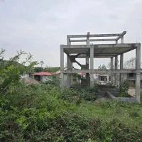 نیمه ساز سنددارباپروانه