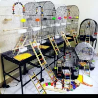 قفس قفس ولوازم قفس سعید فرشته آزادشهر