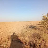 زمین کشاورزی و باغ|فروش زمین و ملک کلنگی|دشتابی, |دیوار