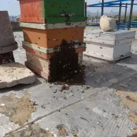 برای فروش