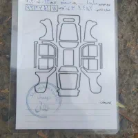 ساینا