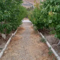 850 متر ویلا ( تهاتر )|فروش خانه و ویلا|تهران, جنت‌آباد جنوبی|دیوار