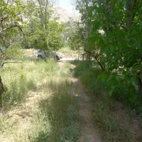 فروش باغ با خانه در منطقه سیمین دشت فیروزکوه|فروش دفتر صنعتی، کشاورزی، تجاری|فیروزکوه, |دیوار